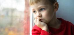 a contemplative little boy looks out a window